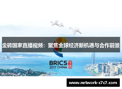 金砖国家直播视频：聚焦全球经济新机遇与合作前景