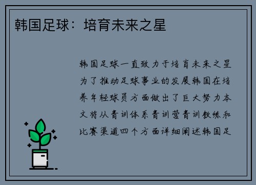 韩国足球：培育未来之星